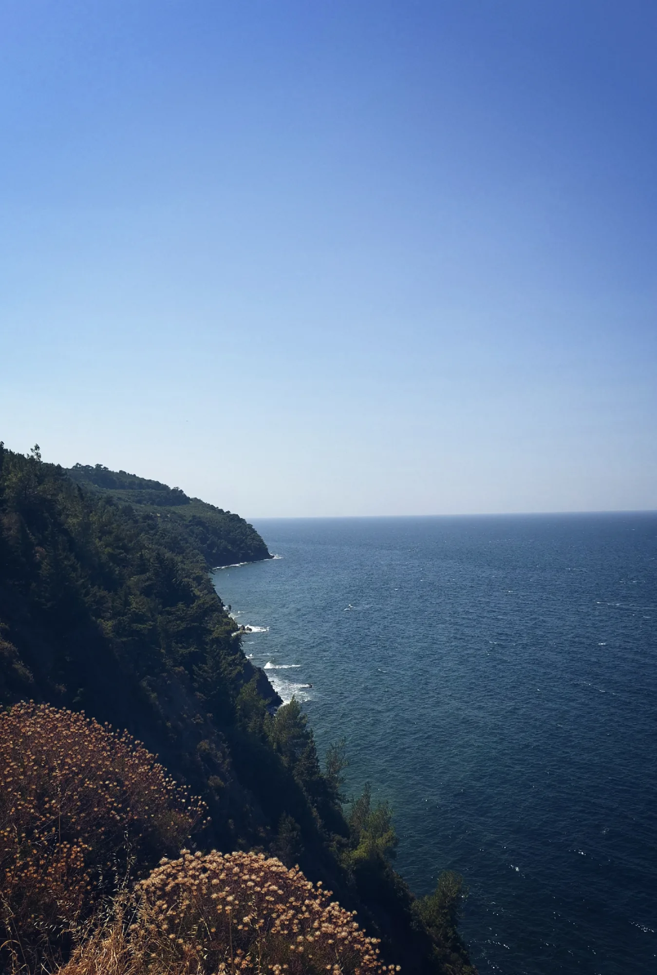 A green cliff dropping into a deep blue sea under a clear sky