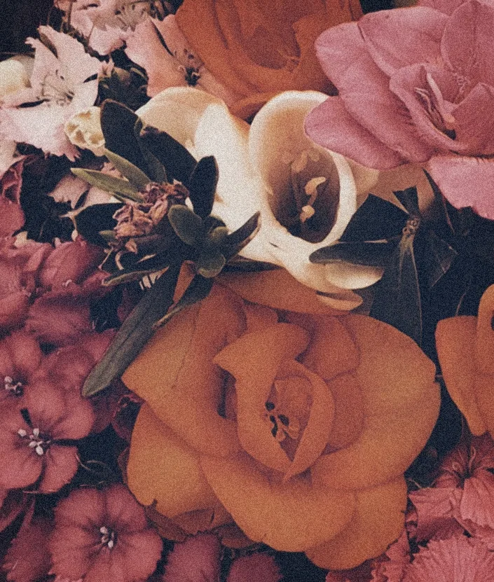 A bouquet up close: orange and pink roses with white calla lilies